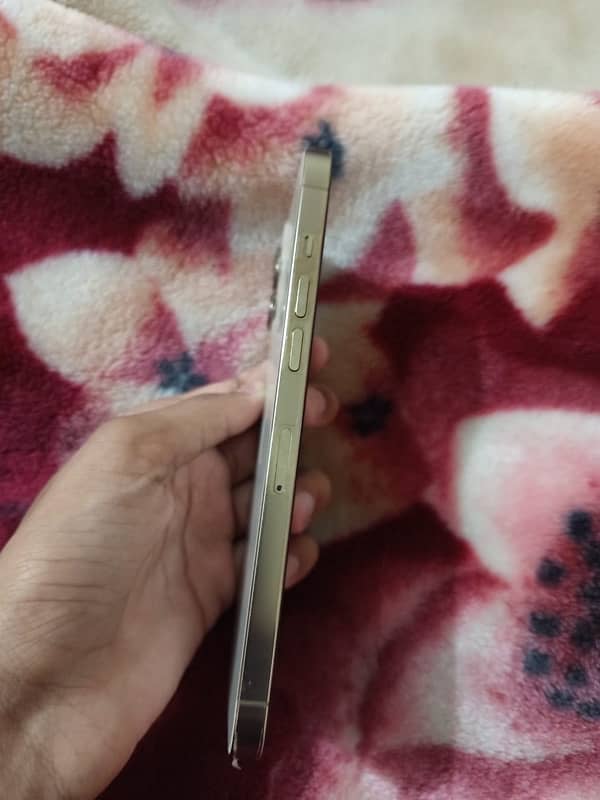 iPhone 12 promax PTA approved 1