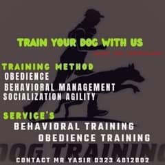 All Breed Dog Training