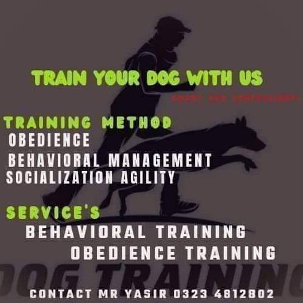 All Breed Dog Training 0