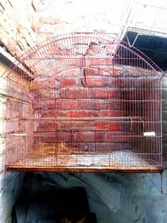 birds cage for sale