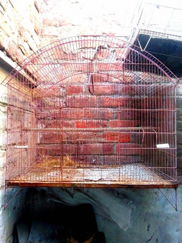 birds cage for sale 0