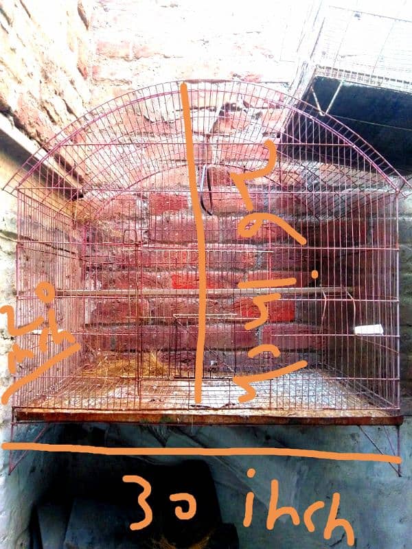 birds cage for sale 1