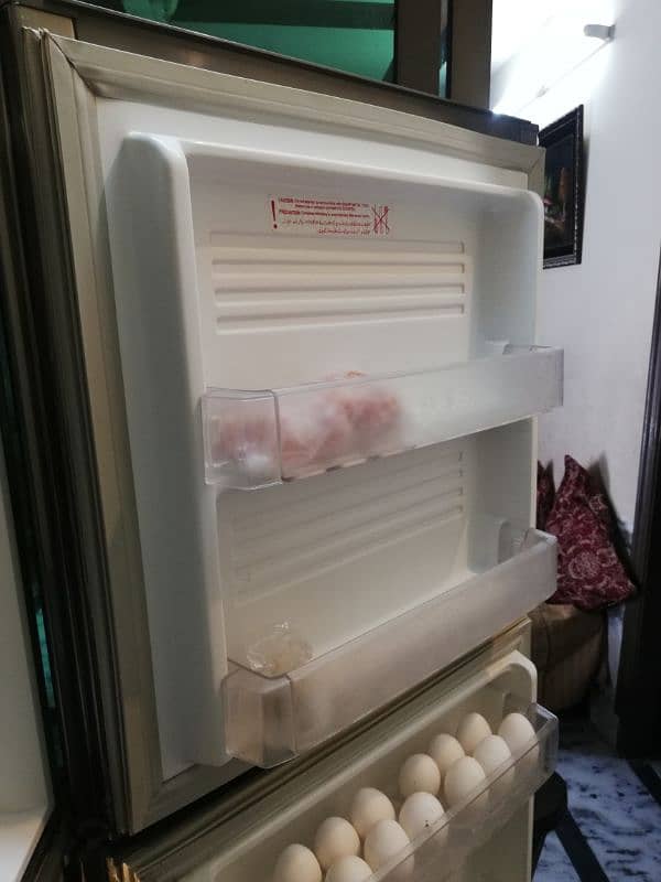 Pel Refrigerator for sale 5