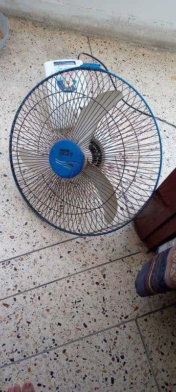 new ceiling fan- urgent sale 0