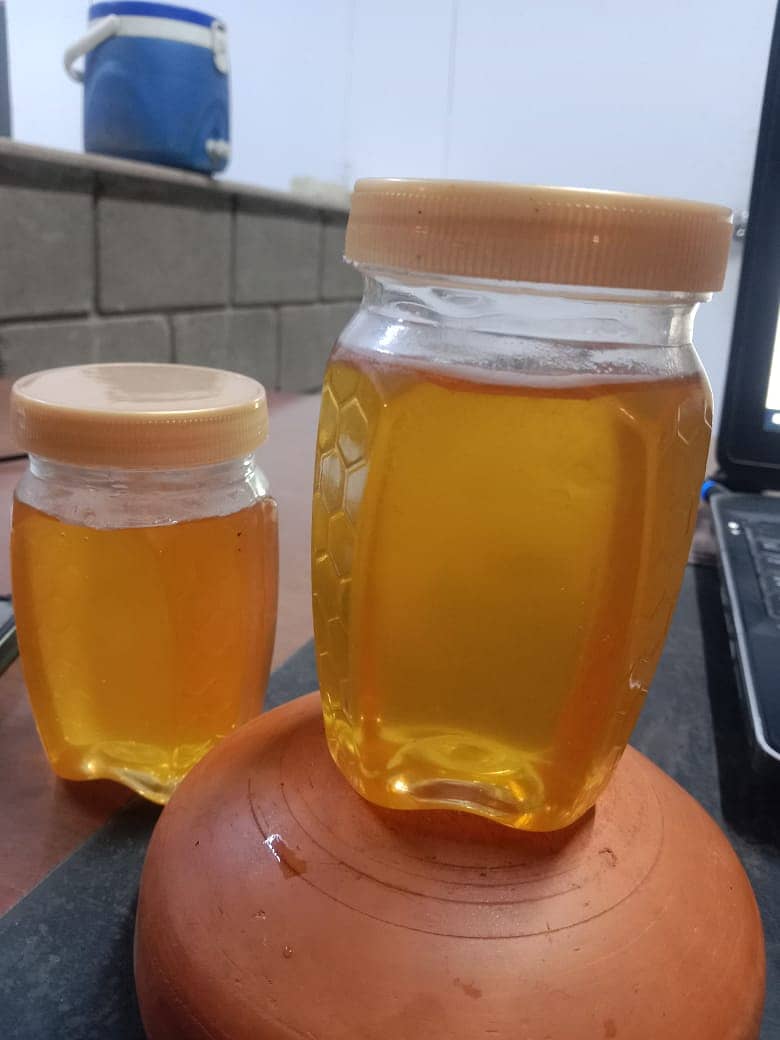 Pure Honey (Quarter) 1,100 1