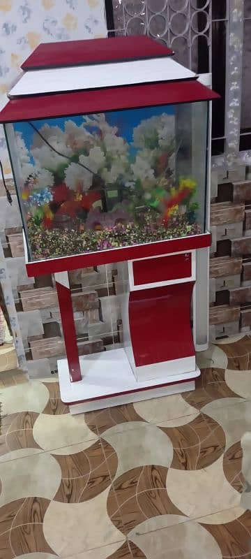 fish aquarium 0