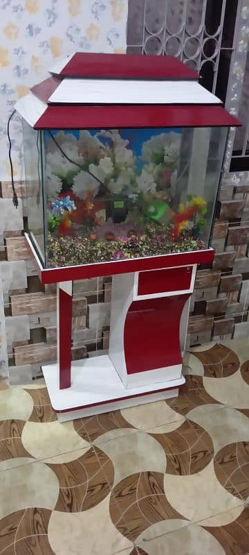 fish aquarium 1