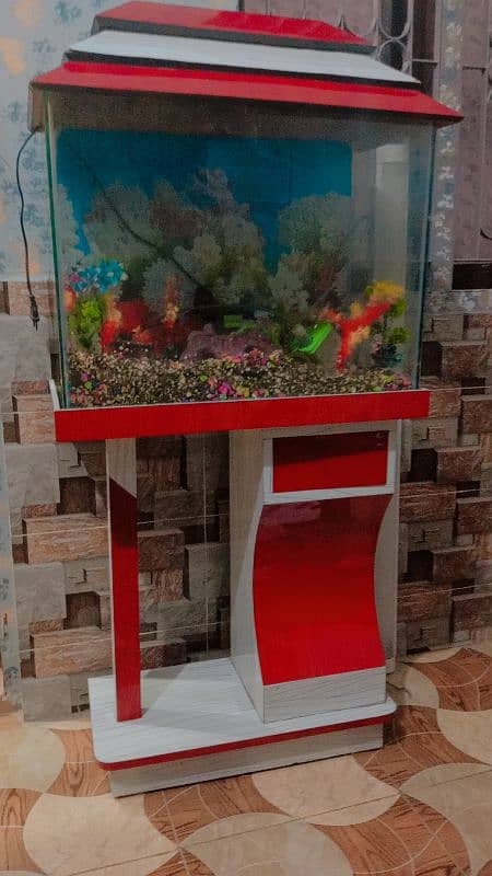 fish aquarium 8