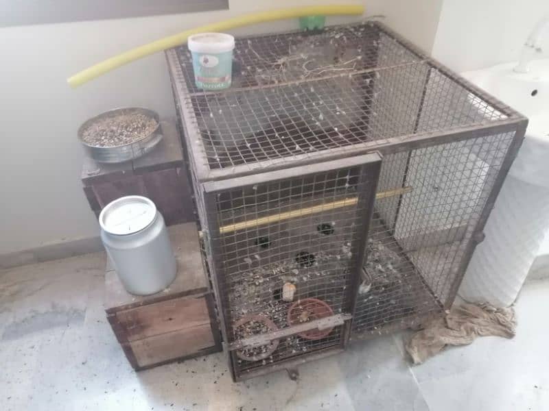 parrots with cage and box 1