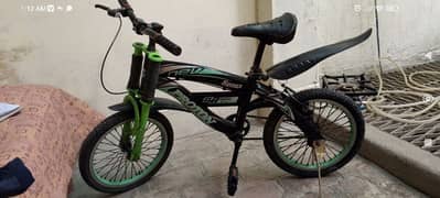 Proton Made Bicycle