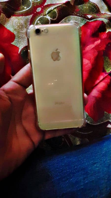 iphone 6 pta 1