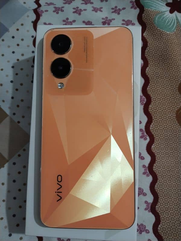 VIVO Y17s 1