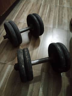 Dumbbells rods Pilates