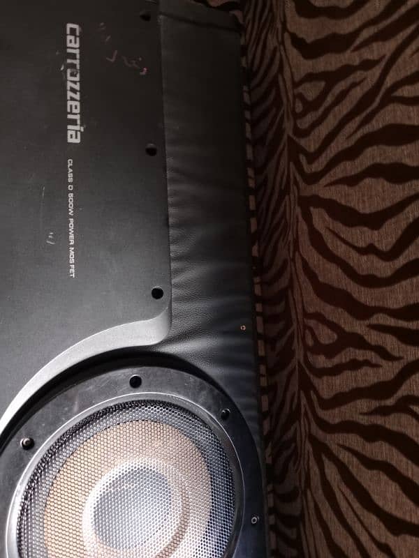 Pioneer woofer plus speaker tube 2