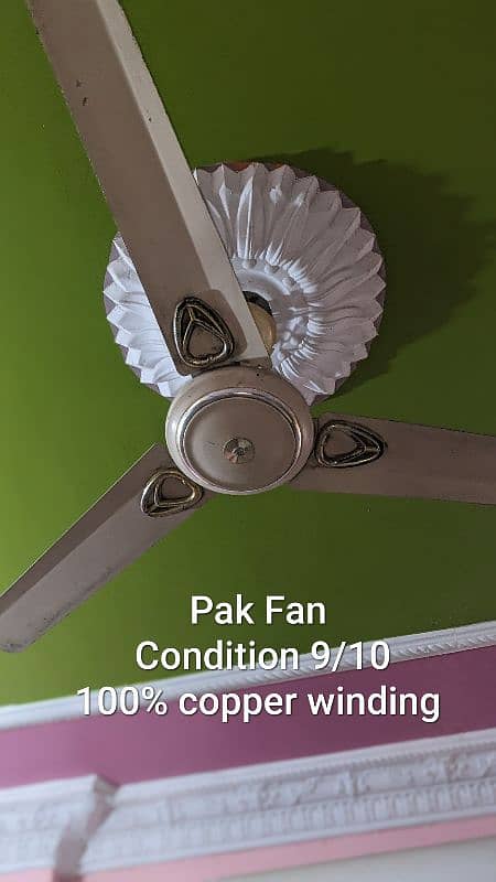 celling fan 1