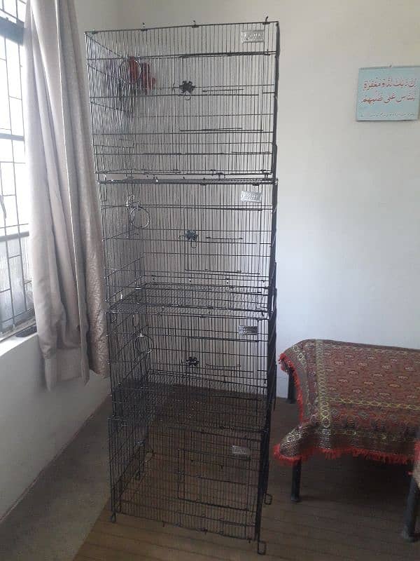 love Birds and cages for sale 8