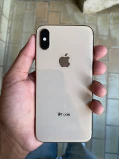 iphone xs