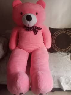 Cute pink bear