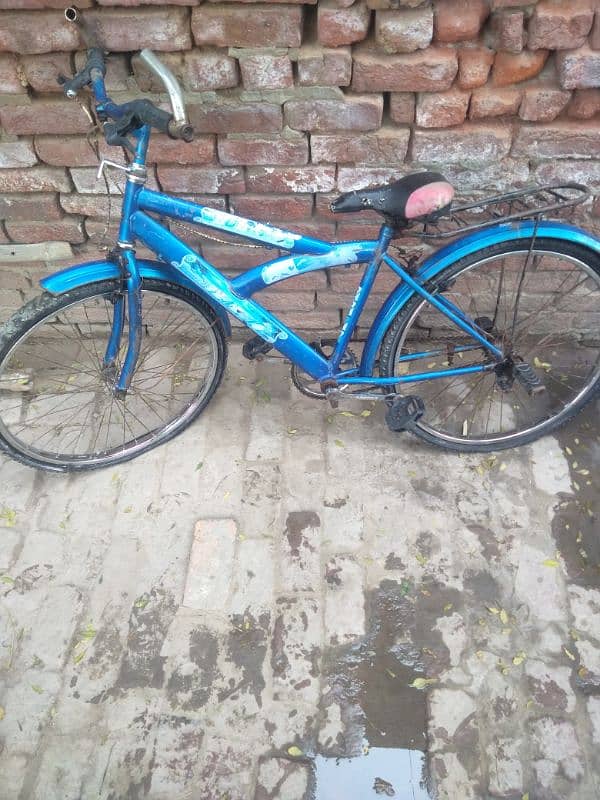 cycling badayi Meherbani sirf Lene Wale Rafta Karen 0