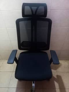 Executive Rotating Adjustable Mesh Office Chair