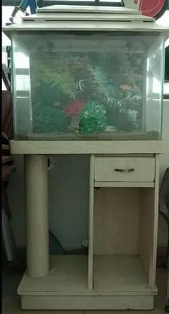 Aquarium For Sale