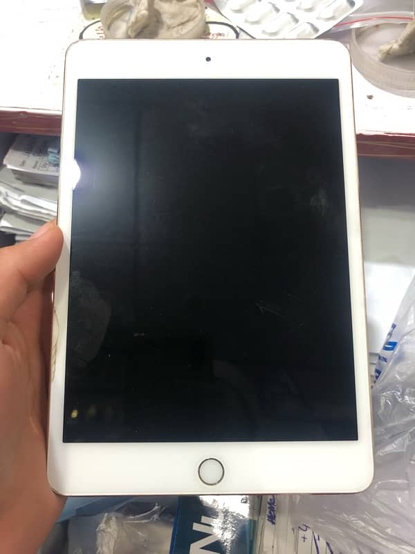 ipad mini 4 2