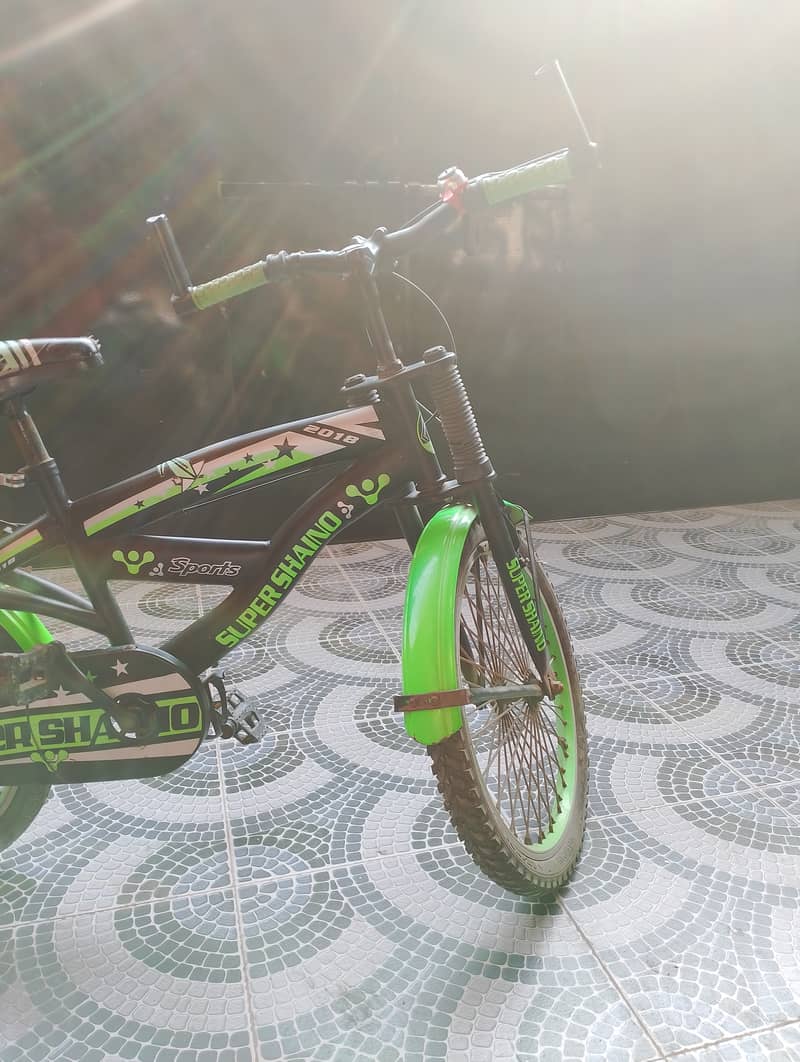 Black and Neon Green Children Bicycle 1