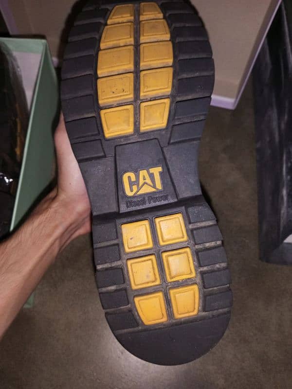 cat original royal shoes 3