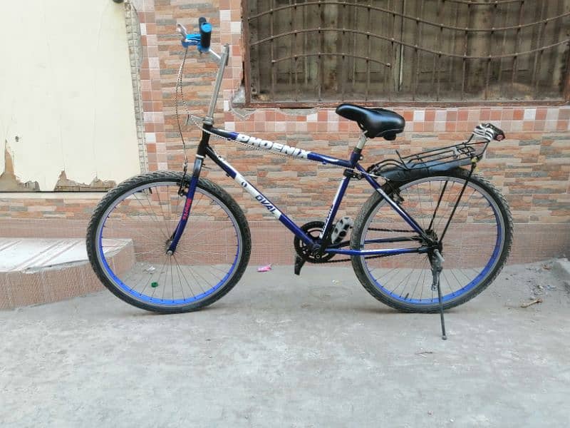 Brand (phoenix) bicycle 2