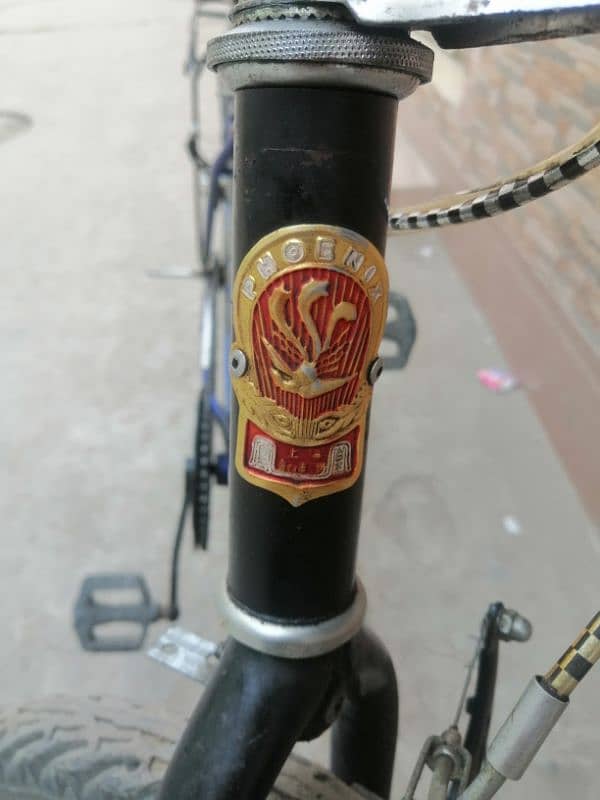 Brand (phoenix) bicycle 12