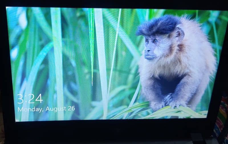 Laptop for sale type chrome all ok no any fault good battery health. 1