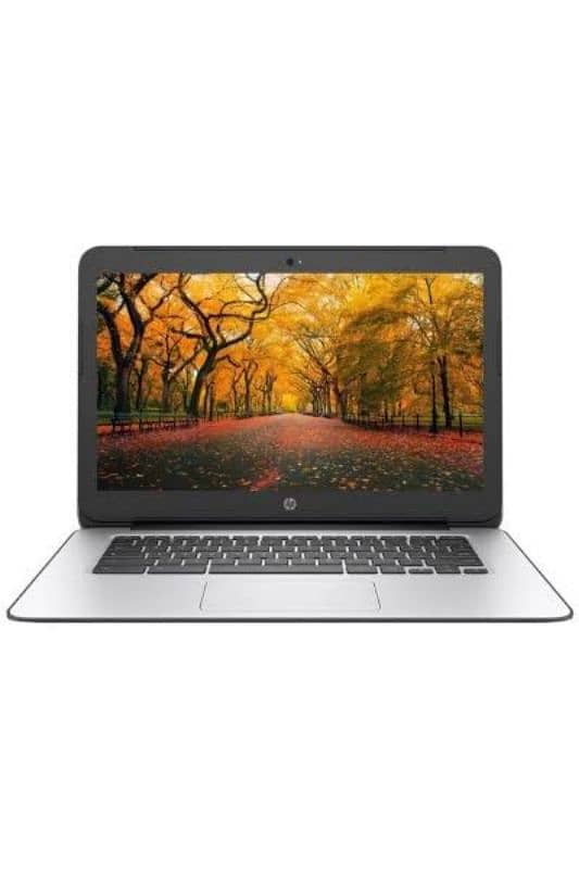 HP Chromebook 14 0