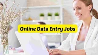 Females and Males Online part time home based data typing job availabl