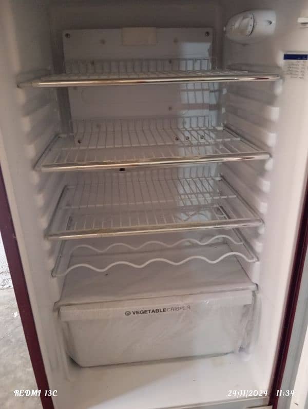 Orient OR-303 Refrigerator 250L Double Door Energy Efficient Fridge 3