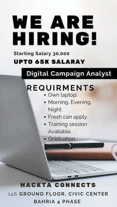 Digital Campaign Analyst