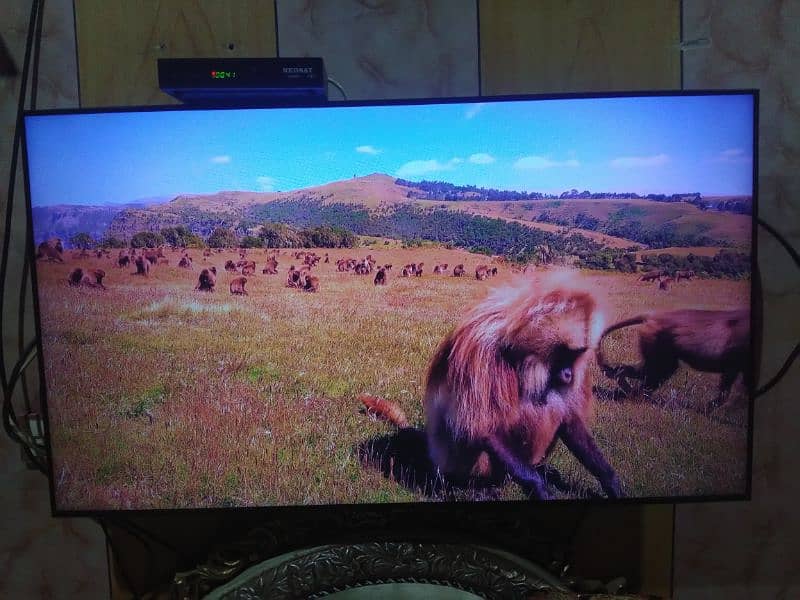 SAMSUNG ORIGINAL 50" SMART  LED FOR SALE 4