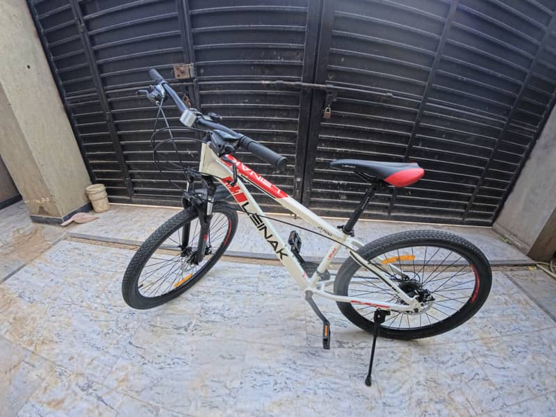 Leinak mountain bike 1