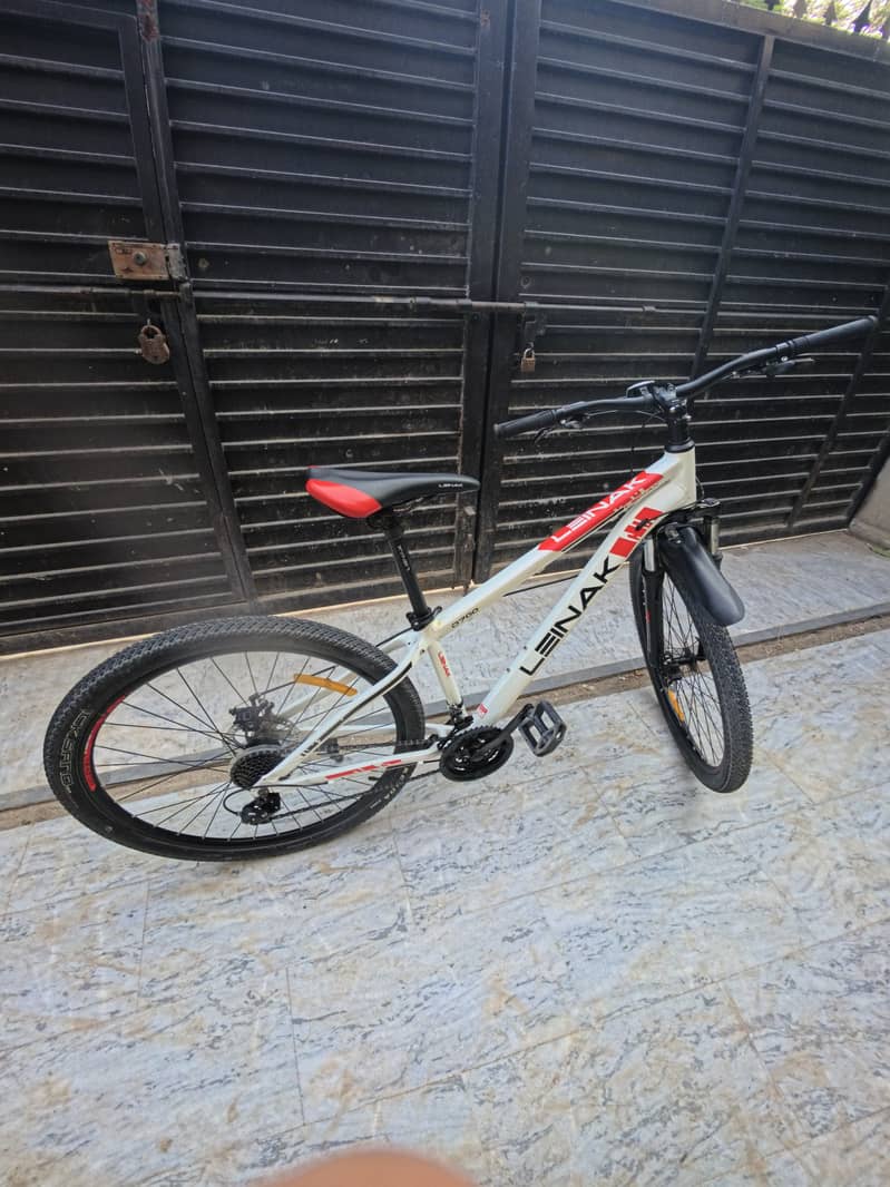 Leinak mountain bike 4