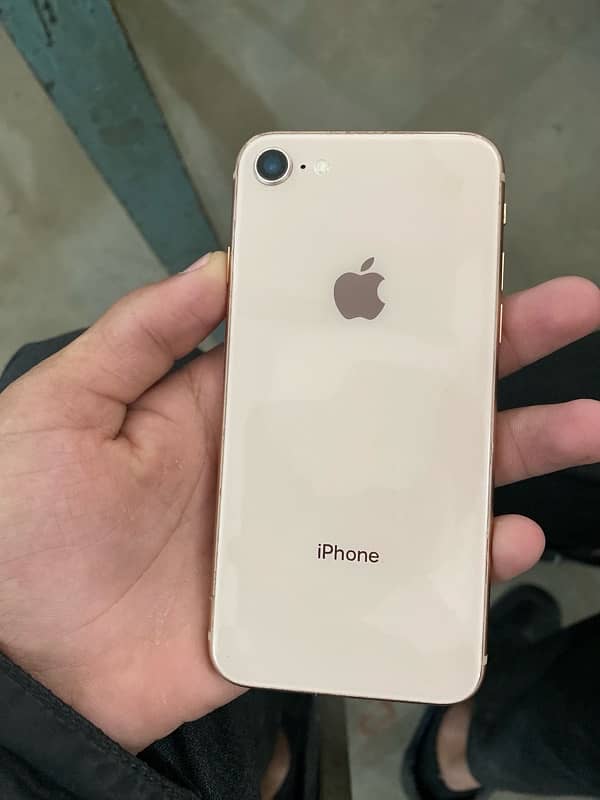 Iphone 8 (PTA APPROVED) 1