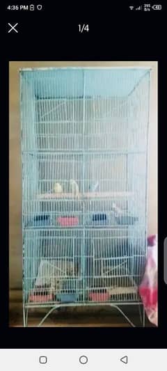 6 PORTION CAGE IN LOW PRICE