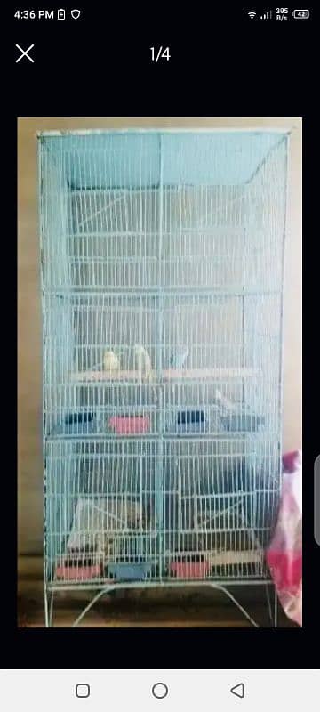 6 PORTION CAGE IN LOW PRICE 0