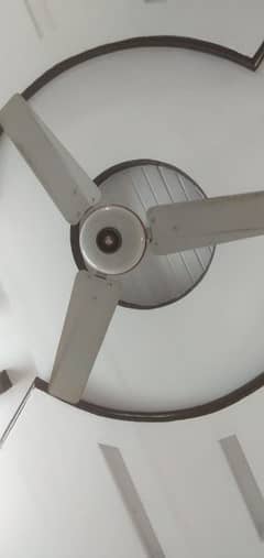 Ceiling fan for sale