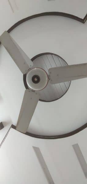 ceiling fan for sale 1