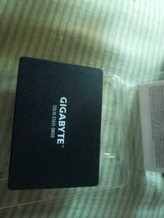 GIGABYTE 256 GB SSD