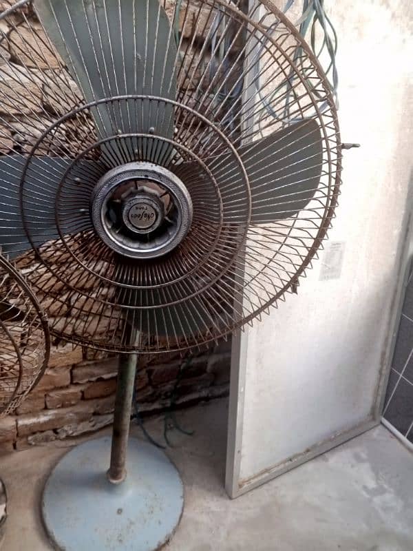 pedastal fan 1