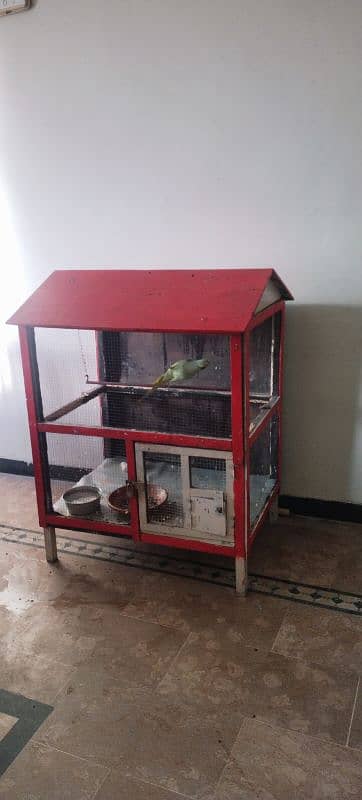 Cage for sale 1