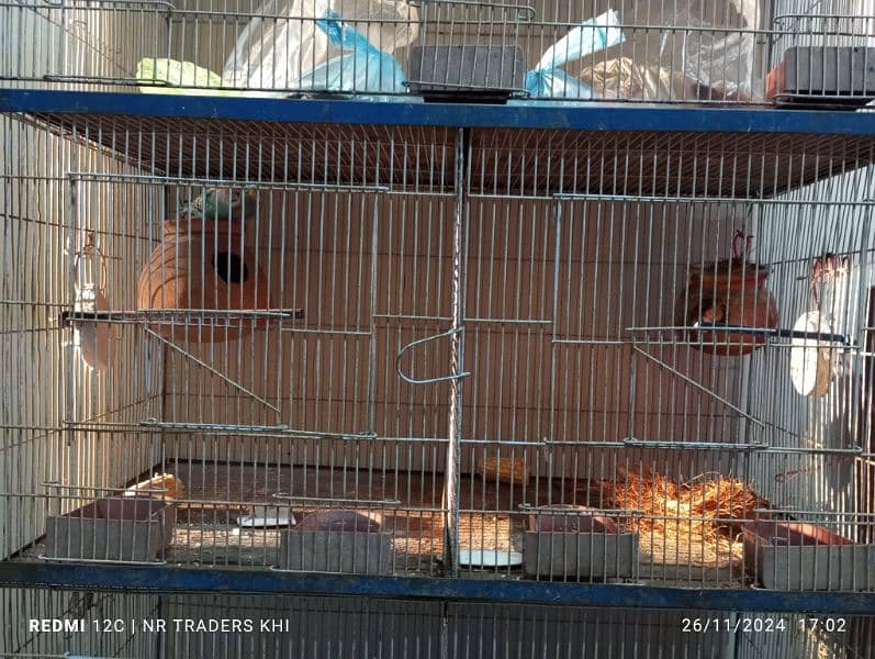 5 portion cage for sale Big cage for sale 3