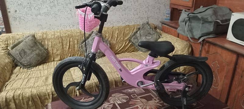 kids  Cycle 2