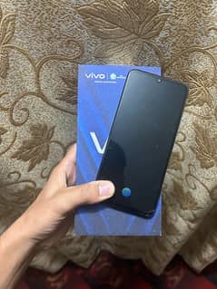 Vivo