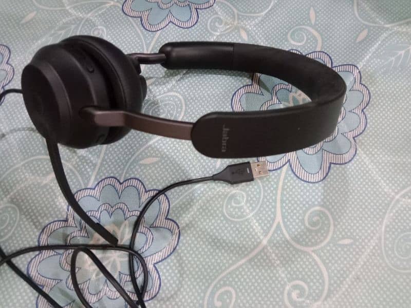 Computer Headphones 1